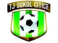 Sokol Citice